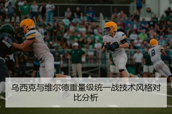 乌西克与维尔德重量级统一战技术风格对比分析